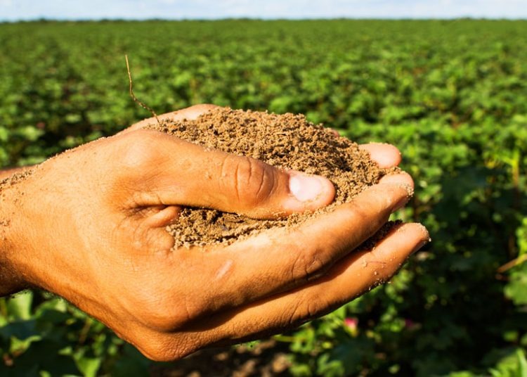 Parcela de janeiro do Fundeinfra não será cobrada